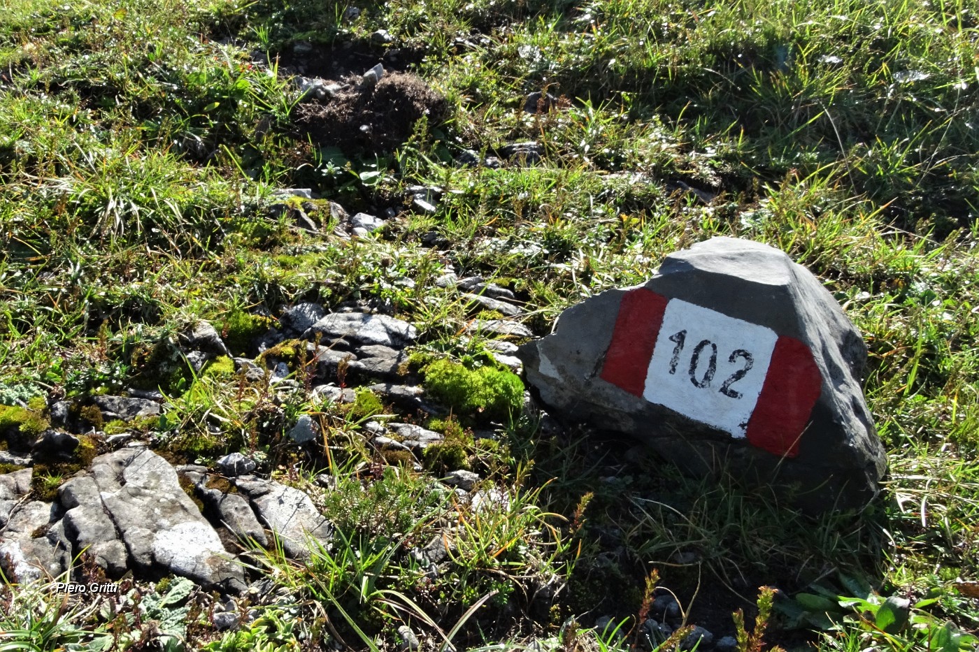 35 Percorso il sent. 153, prendo a dx il sent. 102 .JPG